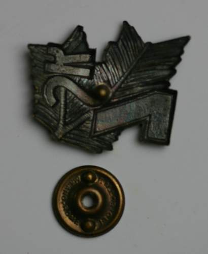 7th Carpathian badge - What do you think?