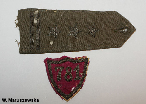 Lets see your Polish Militaria Display!