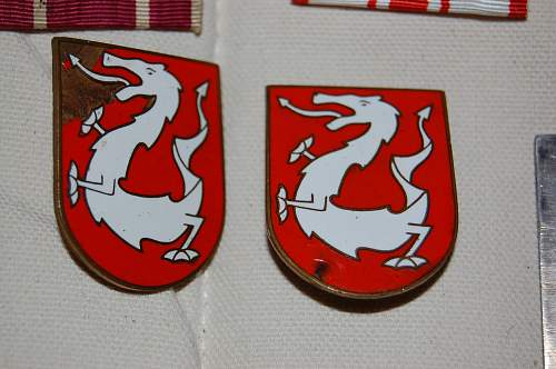 unknown Polish badges?
