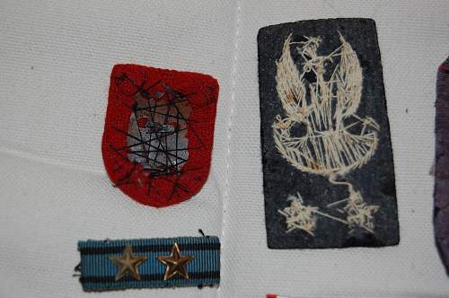 unknown Polish badges?