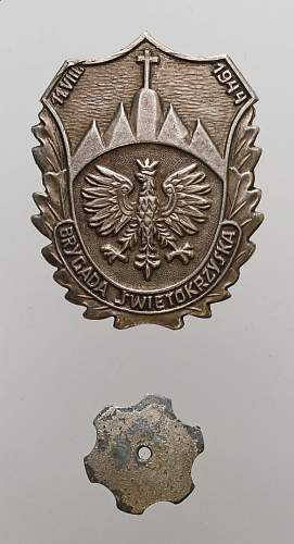 Polish Regimental Badges WW2