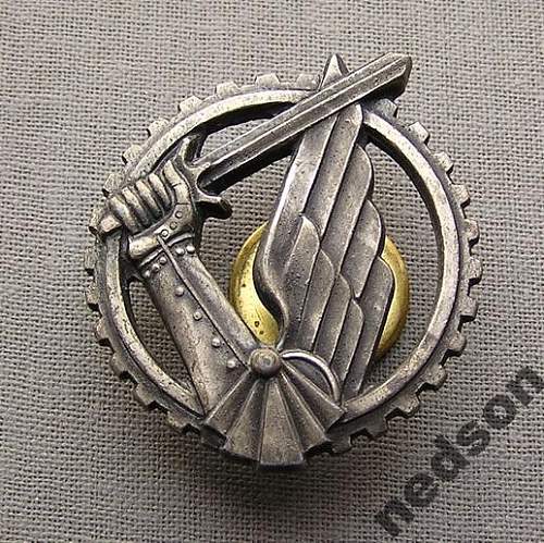 Polish Regimental Badges WW2