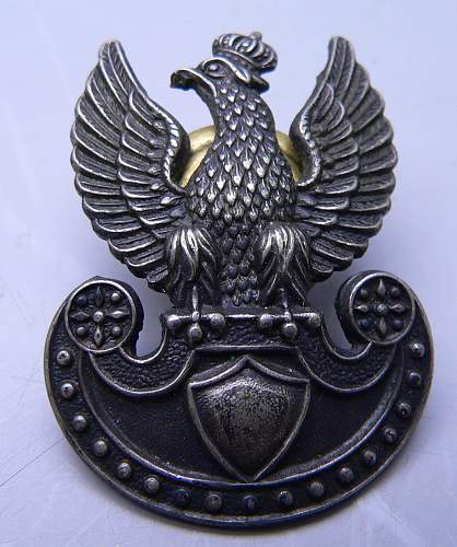 can anyone tell me about this Polish cap badge I found in a box