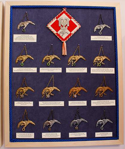 Polish AirForce Badges Gallery