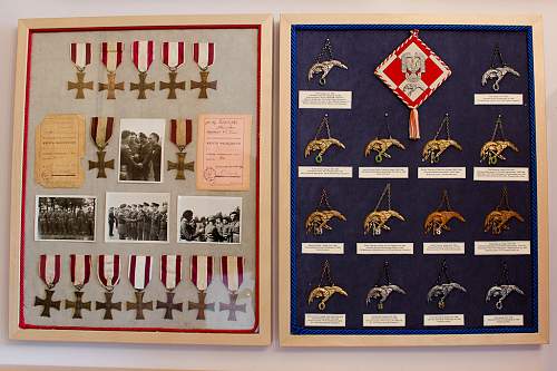 Polish AirForce Badges Gallery