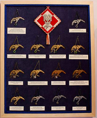 Polish AirForce Badges Gallery