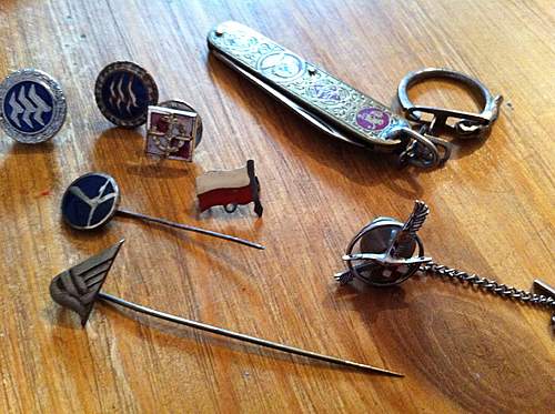 Polish Regimental Badges WW2