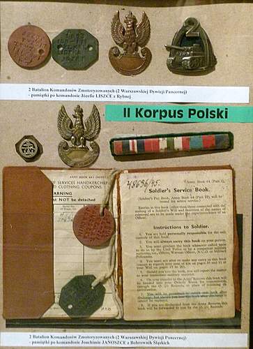 Polish Regimental Badges WW2