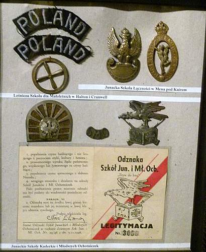 Polish Regimental Badges WW2