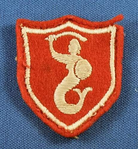 New aquisitions - WW2 Polish Badge and Patches