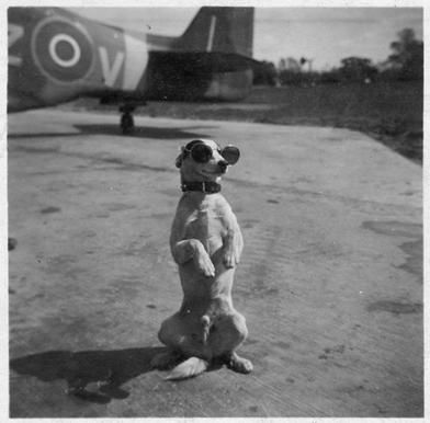 Polish Mascots WWII