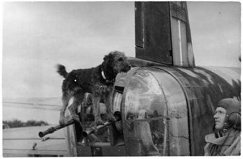 Polish Mascots WWII