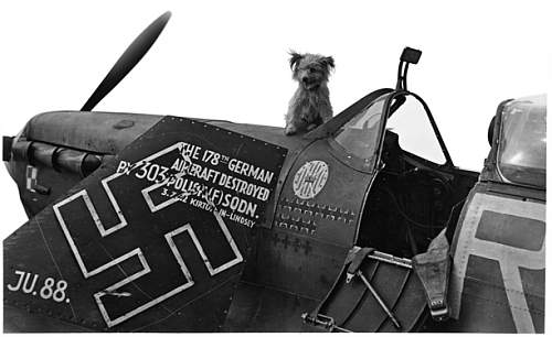 Polish Mascots WWII