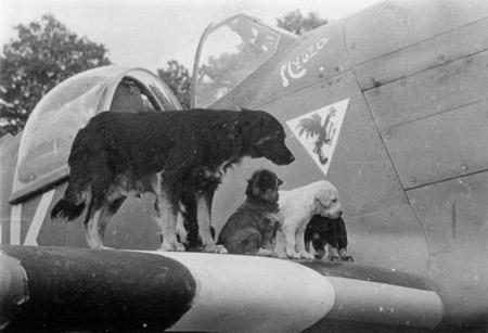 Polish Mascots WWII