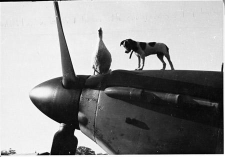 Polish Mascots WWII