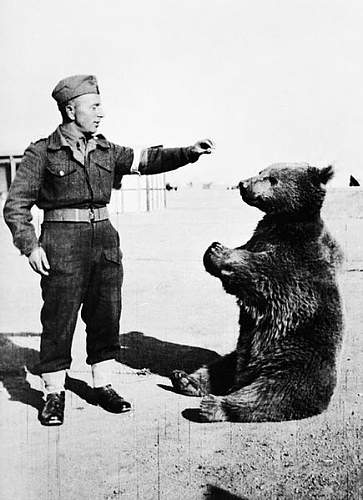 Polish Mascots WWII