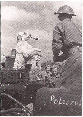 Polish Mascots WWII