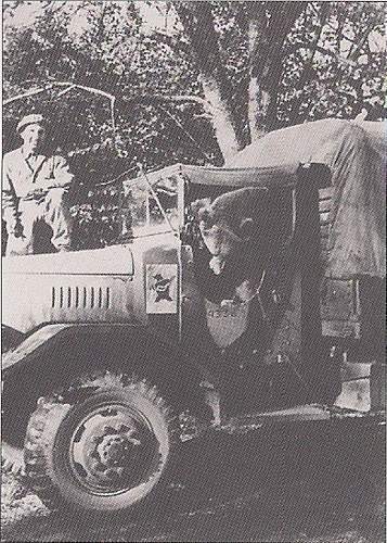 Polish Mascots WWII