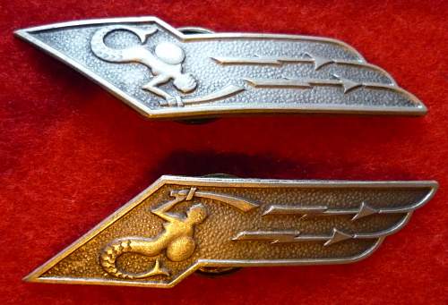 Polish Regimental Badges WW2