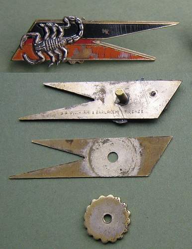 Polish Regimental Badges WW2