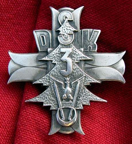 Unknown Polish badge