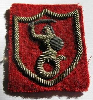 &quot;Syrenka&quot; arm patch introduction