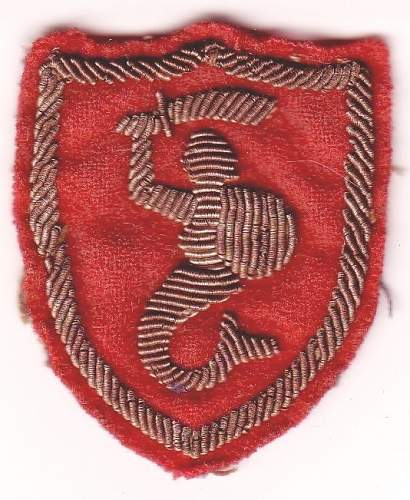 &quot;Syrenka&quot; arm patch introduction