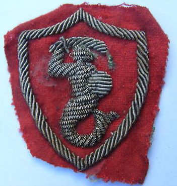 &quot;Syrenka&quot; arm patch introduction