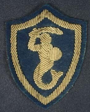 &quot;Syrenka&quot; arm patch introduction