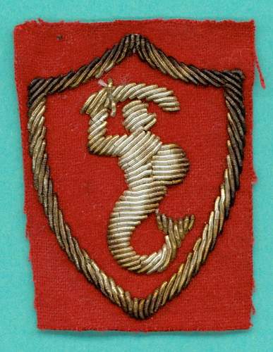 &quot;Syrenka&quot; arm patch introduction