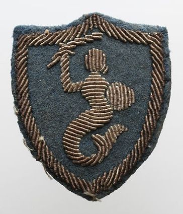 &quot;Syrenka&quot; arm patch introduction