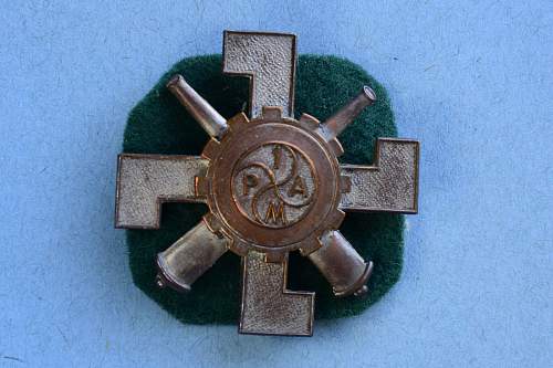 Polish Regimental Badges WW2