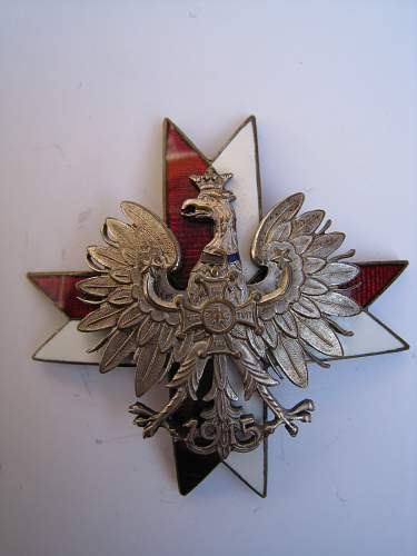 Polish Regimental Badges WW2