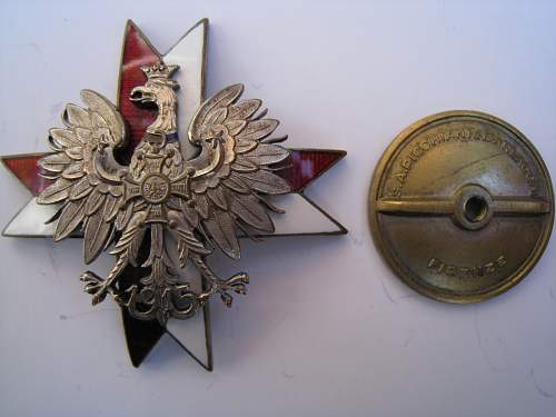 Polish Regimental Badges WW2