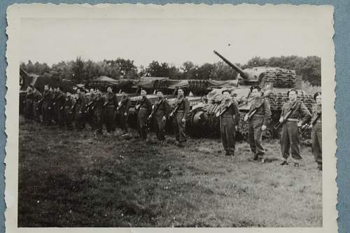 Polish Regimental Badges WW2