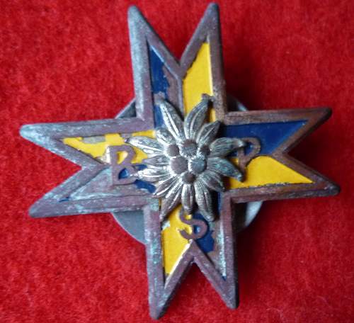 Podhalanski Regiment Badge that has seen better days