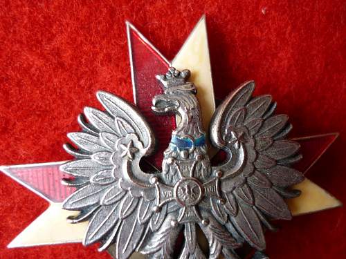 1 Krechowiecki Lancers Regiment Badge