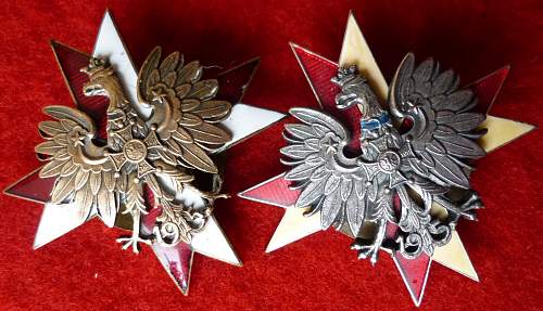 1 Krechowiecki Lancers Regiment Badge