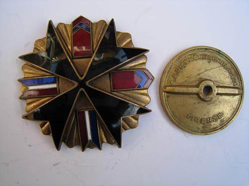 Polish Regimental Badges WW2