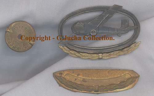 Polish Regimental Badges WW2