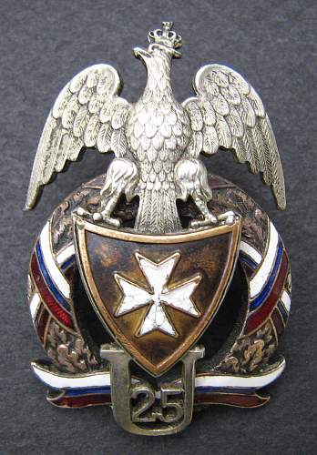 Polish Regimental Badges WW2