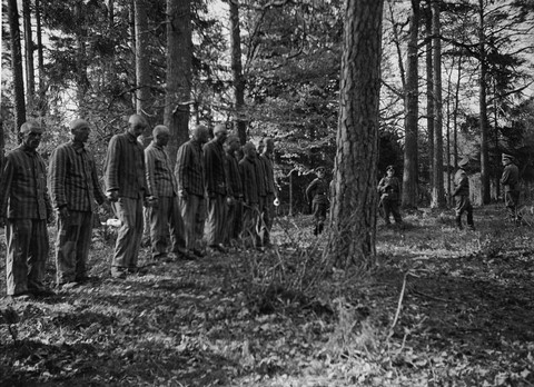 Polish Forced Labour (Zwangsarbeiter/Fremdarbeiter) collection