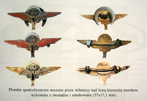 Polish Regimental Badges WW2