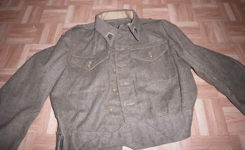 Polish para Battledress