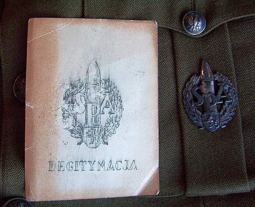 Polish Regimental Badges WW2