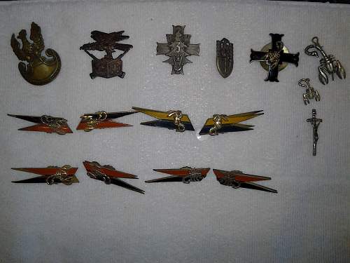 Polish skorpion badges