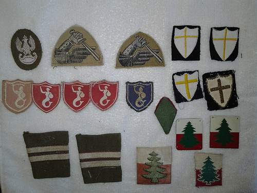 Polish skorpion badges