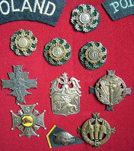 Polish Regimental Badges WW2