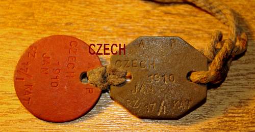 A soldier of the 1st polish armoured division