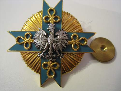 Polish Regimental Badges WW2